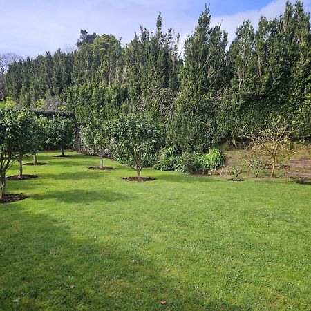 Вилла Casa Do Simao Нордешти Экстерьер фото
